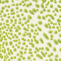 CR-41 Lime