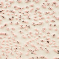 CR-51 Speckled Pink