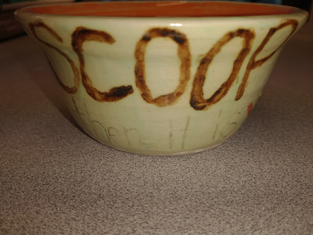 Ice Cream Bowl Workshop
