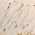 PCF-74 River Birch ^6