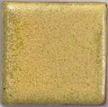 Parakeet Yellow
