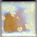 Crystal Nebula