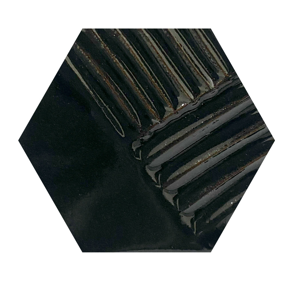 Shiny Black ^6
