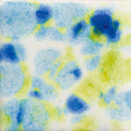 CG-1001  Gogh Iris