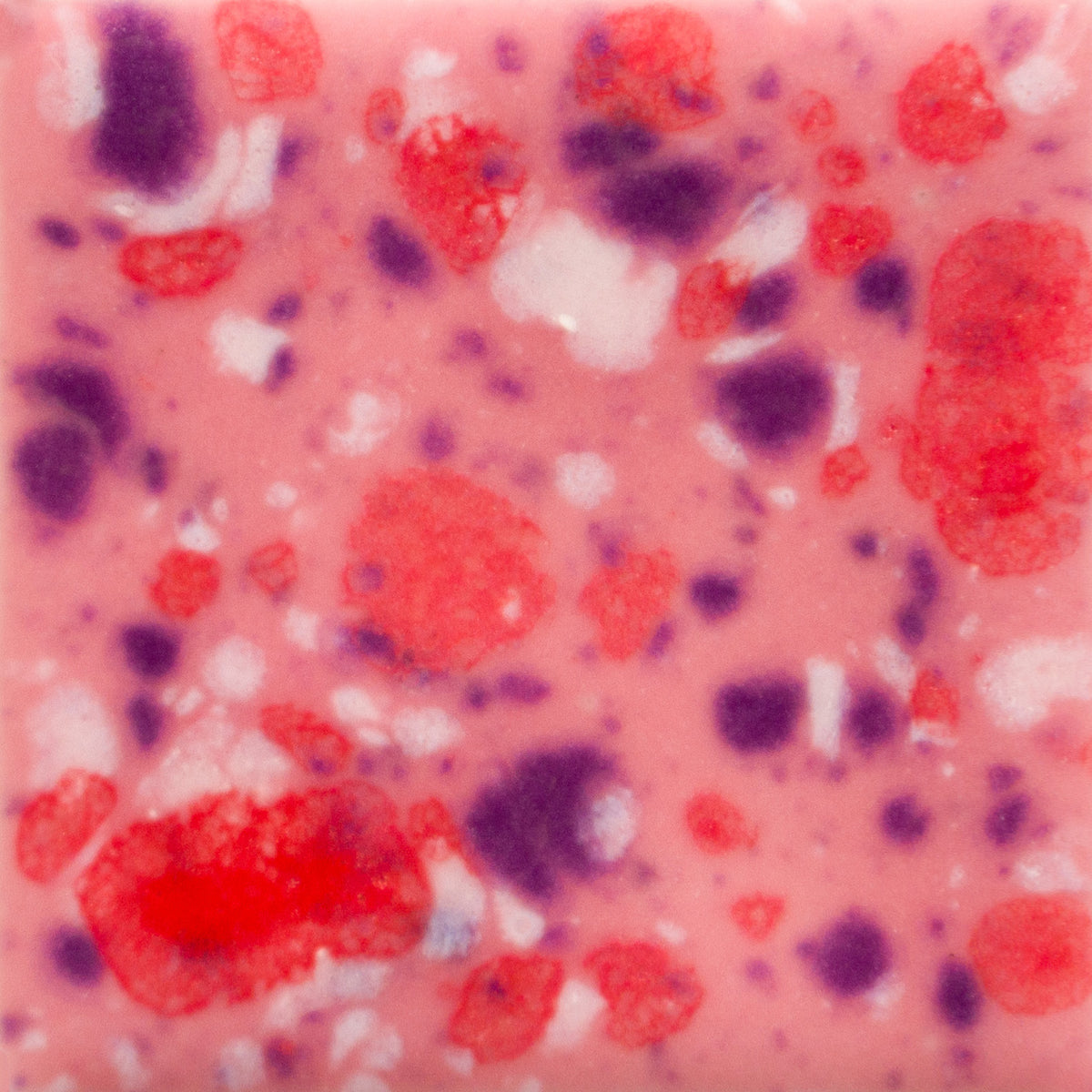 CG-1004  Berry Tart