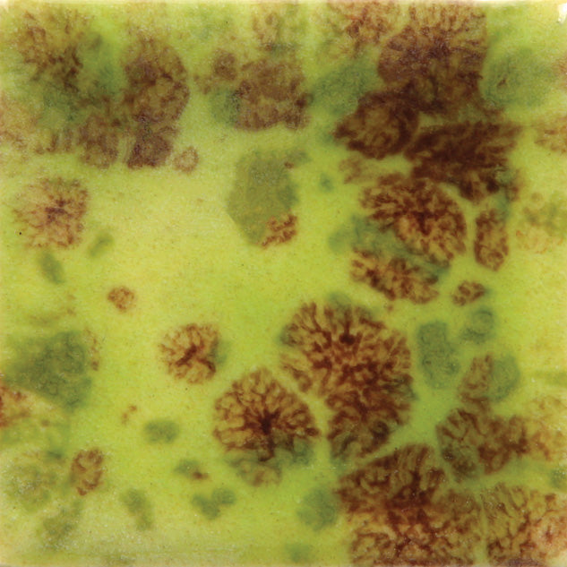 CG-717  Pistachio