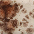 CG-795  Yadro Print