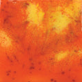 CG-954  Wildfire