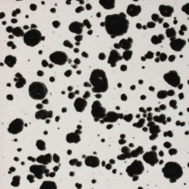 CG-977  Ink Spots