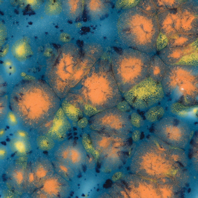 CG-983  Koi Pond