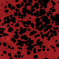 CG-984  Ladybug