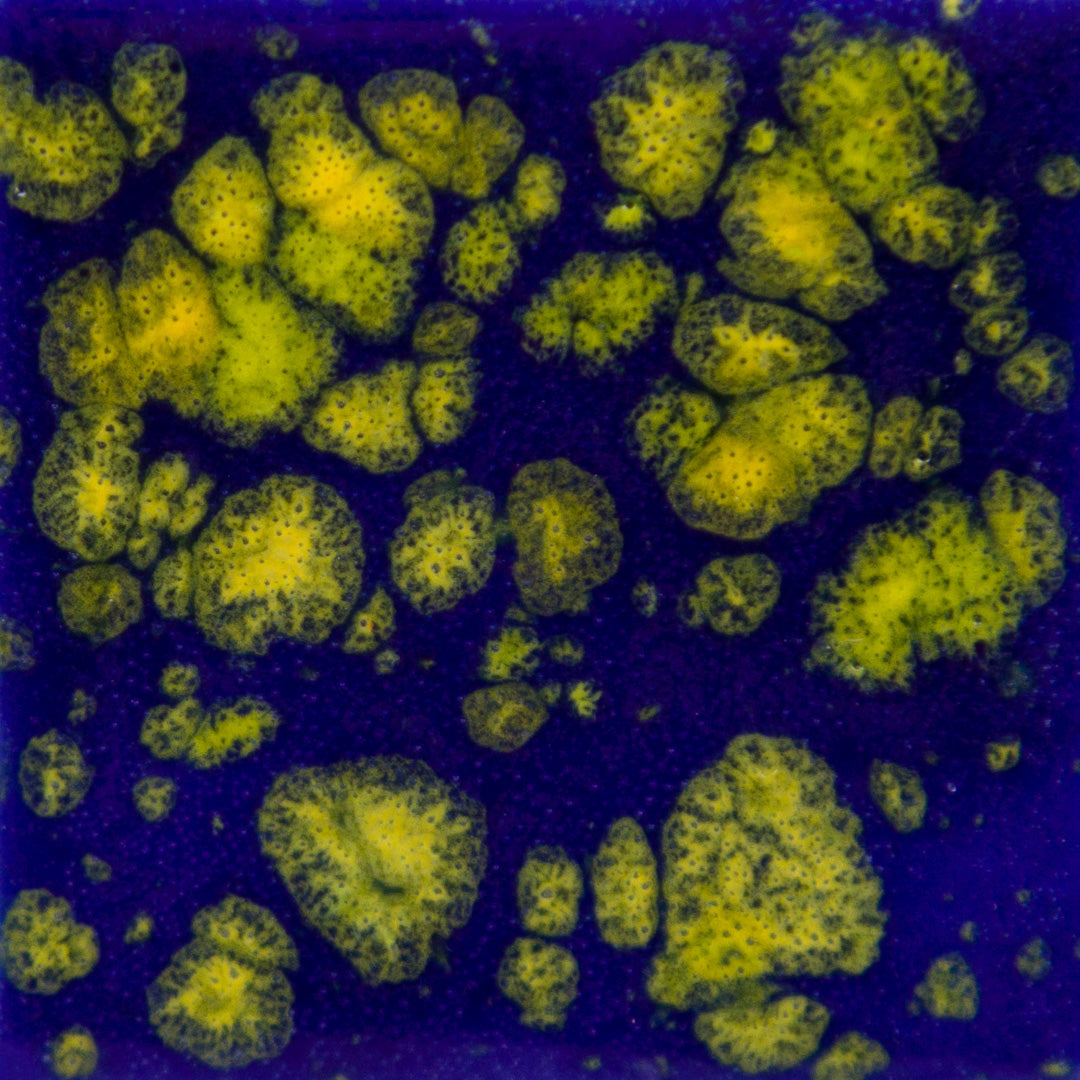 CG-990  Starry Night