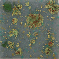 CG-991  Mountain Moss