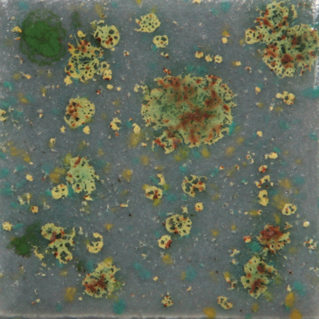 CG-991  Mountain Moss