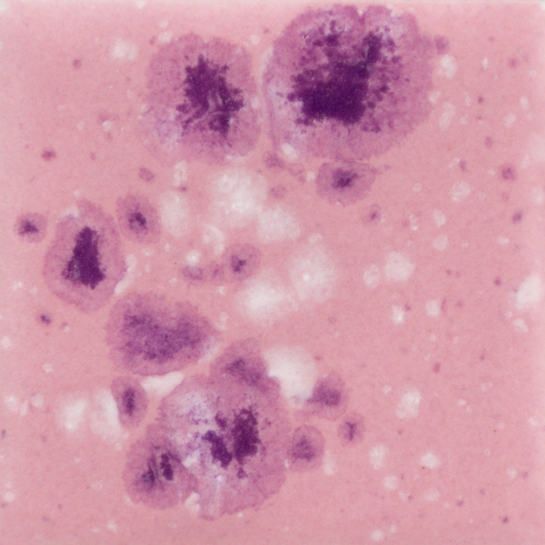 CG-1014  Pink Plum