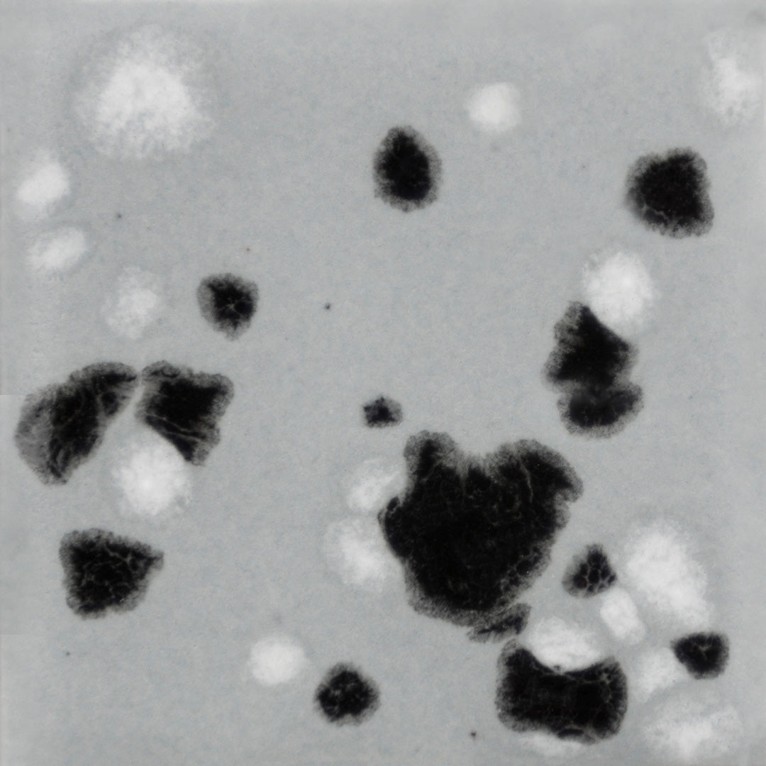 CG1016  Asteroid