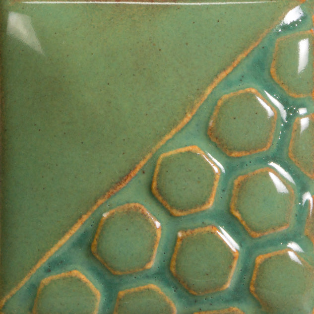 EL-131 Turtle Shell