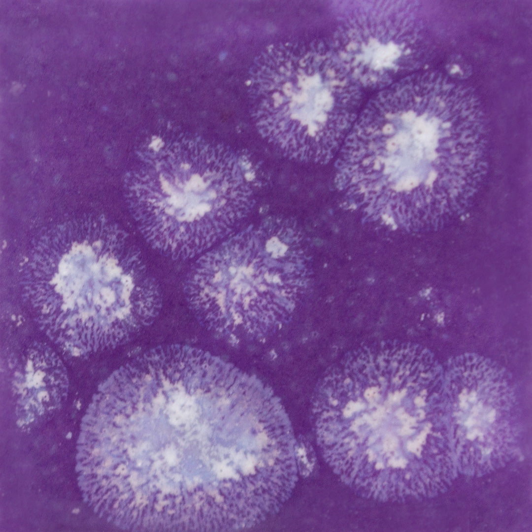 S-2723  Grape Divine