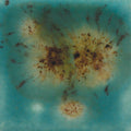 S-2724  Lotus Blossom