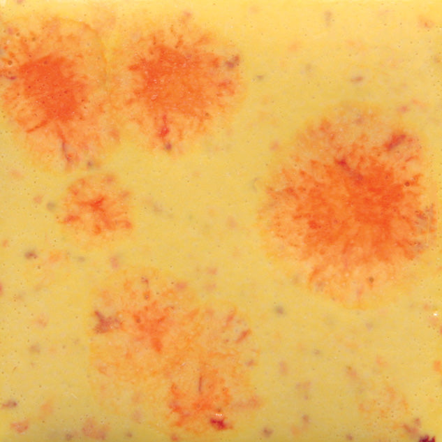 S-2729  Citrus Splash