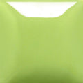 SC-098 Slime Time