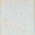 Star Dust